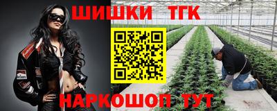 Альфа ПВП Канаш