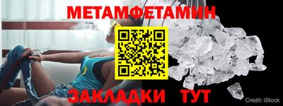 прущие грибы Кандалакша