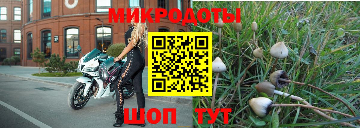 Галлюциногенные грибы Psilocybine cubensis  Вход с VPN  Кимовск 